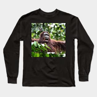 Large Female Orangutan, Borneo Long Sleeve T-Shirt